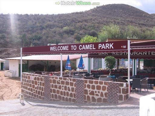 Restaurant in Camel Safari Gran Canaria
