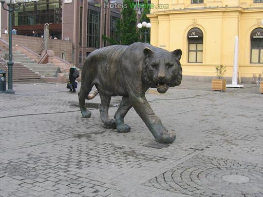 Tiger and Oslo
