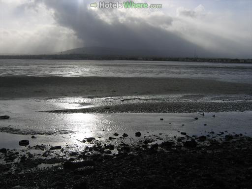 Irishtown Nature Park, Dublin