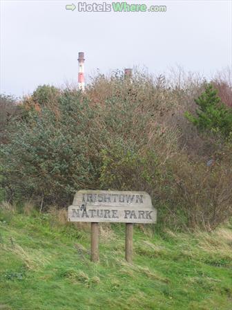 Irishtown Nature Park, Dublin