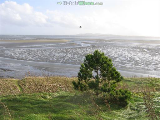 Irishtown Nature Park, Dublin