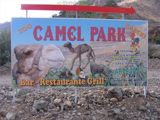 Camel Safari Gran Canaria sign
