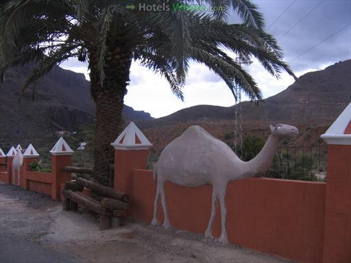 Camel Safari Park La Baranda - wall with camels